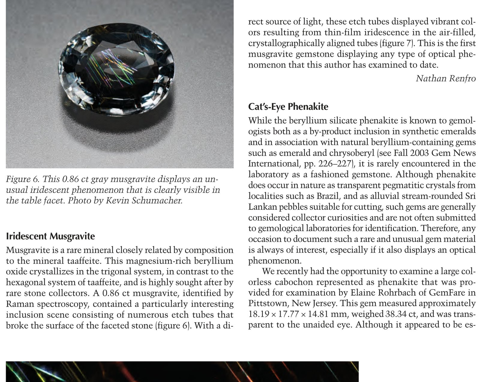 Polished slab of diamond-bearing eclogite mantle xenolith with pyrope and omphacite