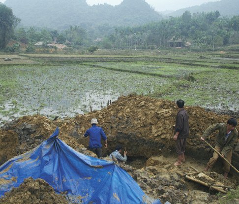 Alluvial secondary placer mining in rice paddies