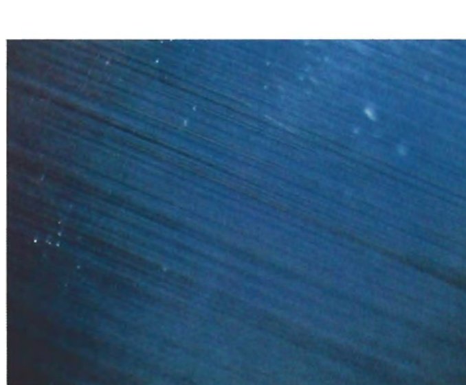 Dense parallel rutile needles causing chatoyancy