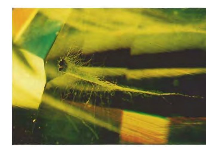 Conical spray of chrysotile fibers in demantoid