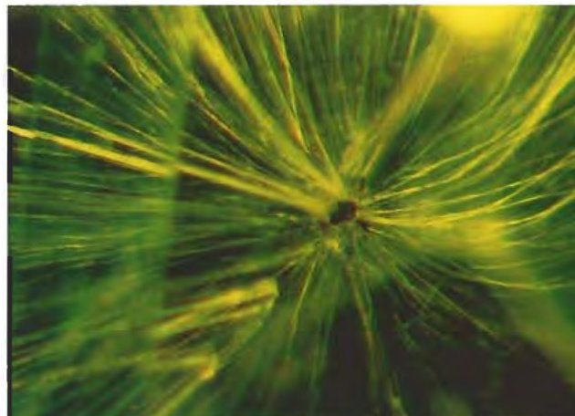 Horsetail inclusion in Russian demantoid garnet