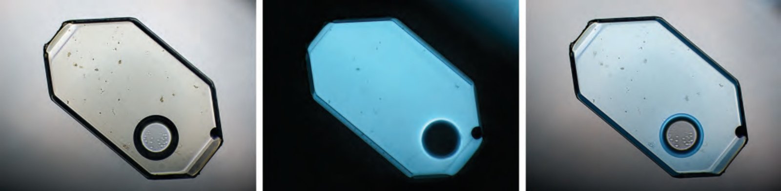 Tabular negative crystal multiphase inclusion