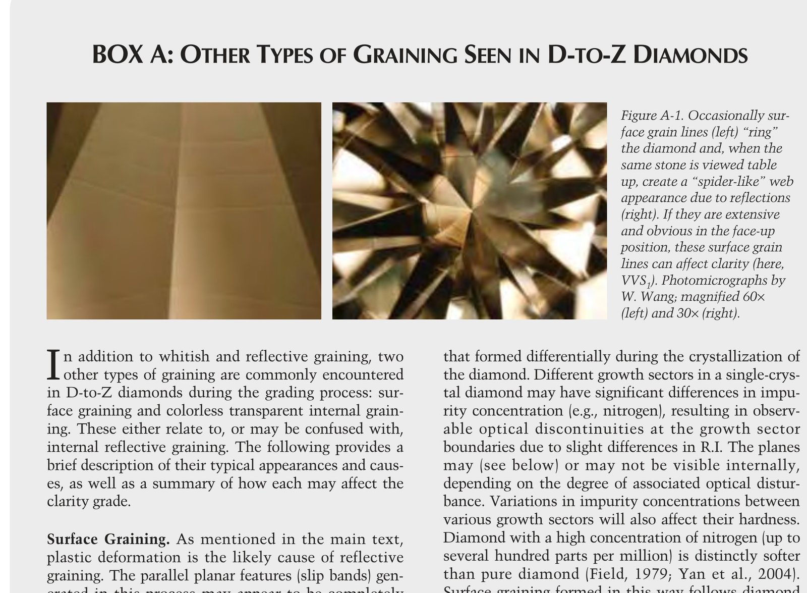 Differential interference contrast microscopy showing surface grain lines distinct from internal inclusions