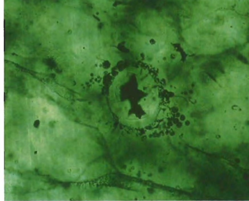 Opaque flux tube with synthetic beryl crystallites