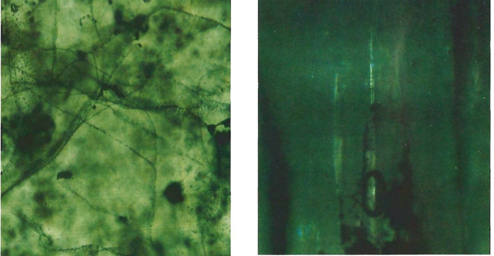 Two-phase flux inclusions and wispy feathers in synthetic emerald