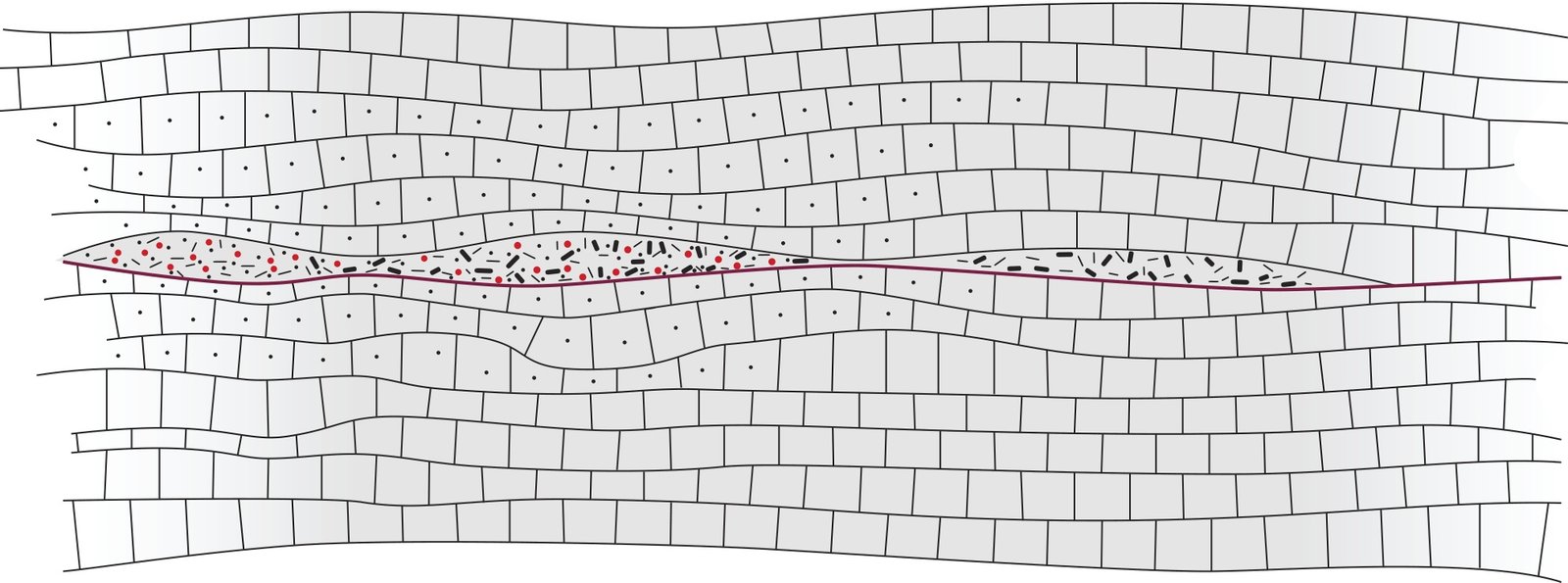 Structural geological cross section of marble-hosted ruby deposit