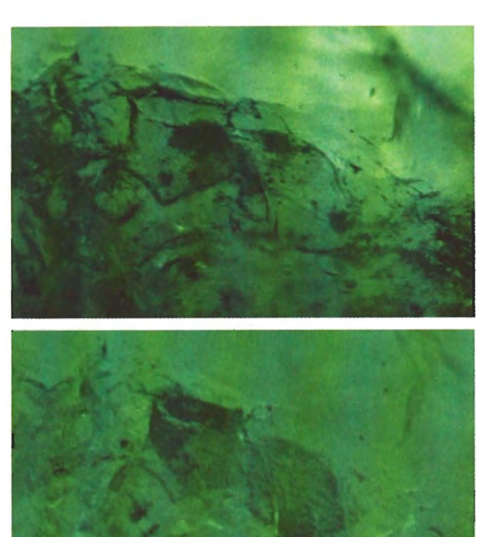 Air filled fracture reflection optics in emerald