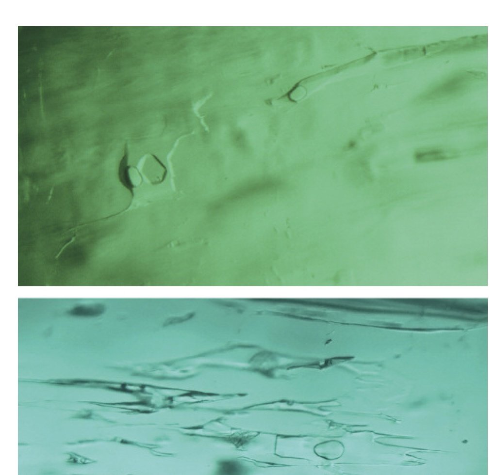 Multiphase fluid inclusions from La Pita and Coscuez emerald mines