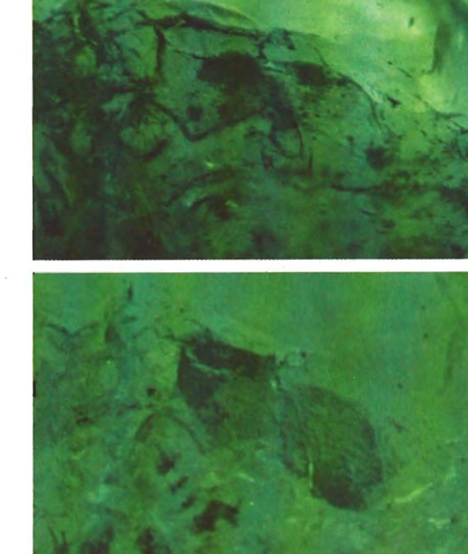 Microscopic fracture filling in emerald